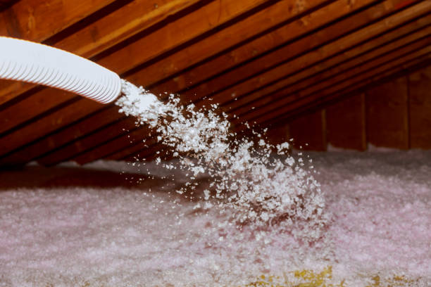 Best Cellulose Insulation in Chicago Ridge, IL