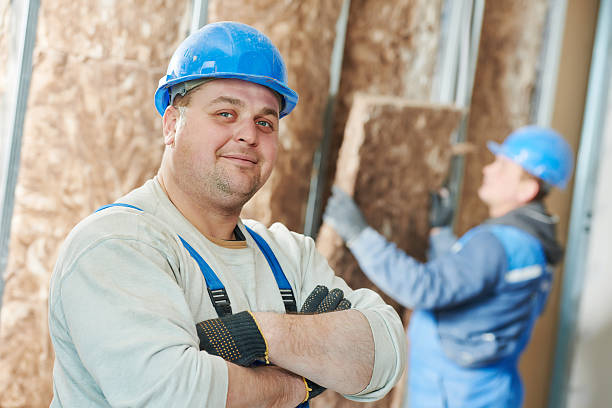 Best Geographic-Specific Insulation Services in Chicago Ridge, IL