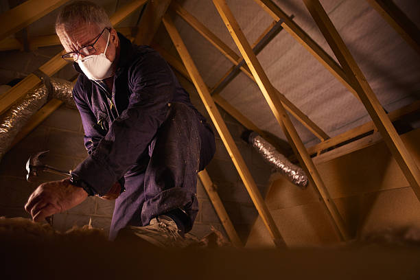 Best Specialized Insulation Services in Chicago Ridge, IL