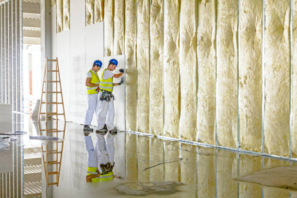 Trusted Chicago Ridge, IL Insulation Contractor Experts